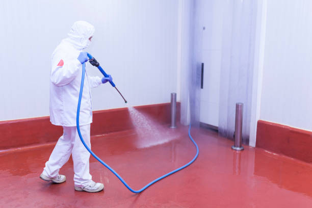 Best Gutter Cleaning and Brightening in Mesa Del Caballo, AZ