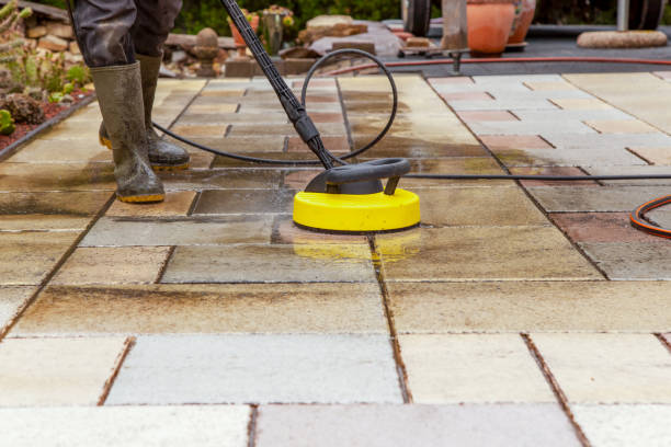 Best Roof Cleaning and Mildew Removal in Mesa Del Caballo, AZ